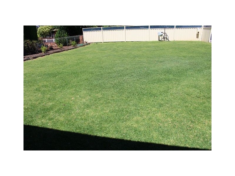 4 Tindera Street, Cobar NSW 2835
