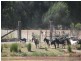 * East Cubba, Cobar NSW 2835