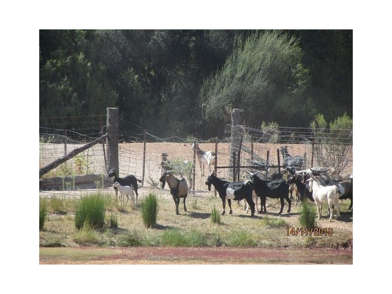 * East Cubba, Cobar NSW 2835