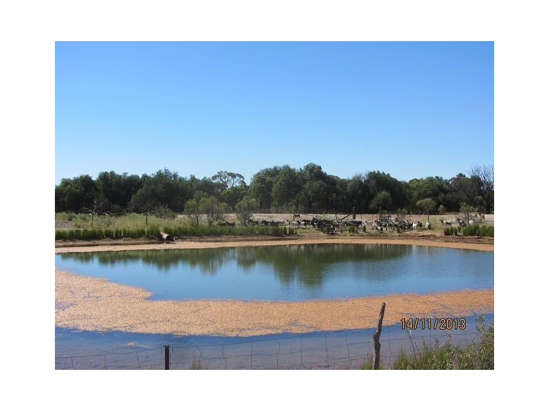 * East Cubba, Cobar NSW 2835
