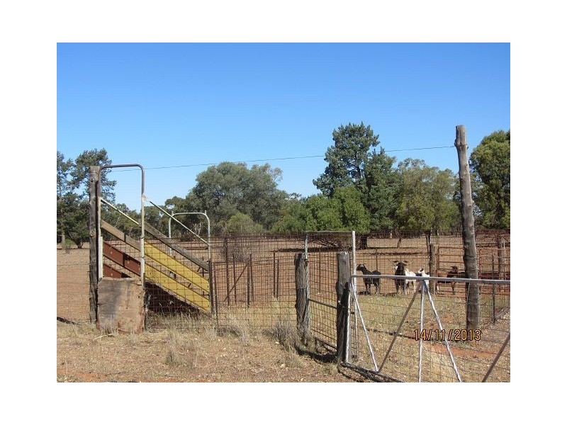 * East Cubba, Cobar NSW 2835