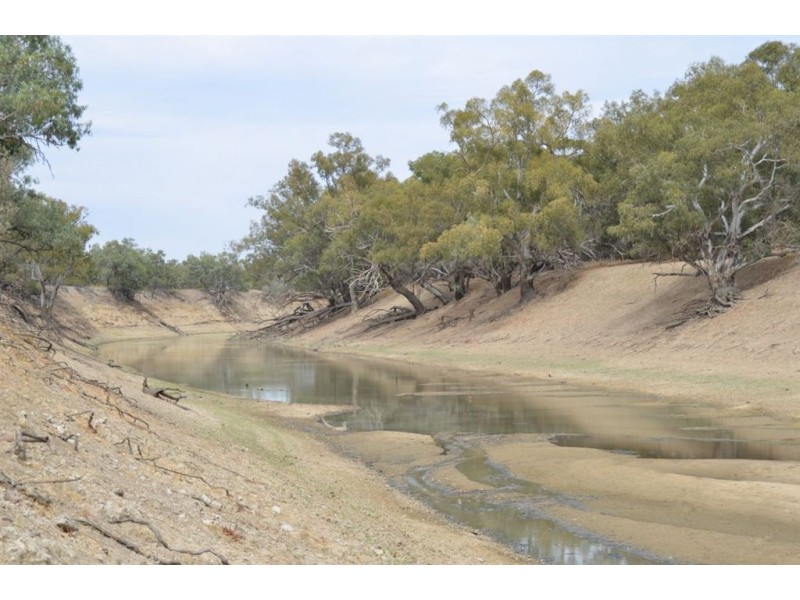 * Newmans on the Darling, Tilpa, Cobar NSW 2835