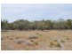 * Newmans on the Darling, Tilpa, Cobar NSW 2835