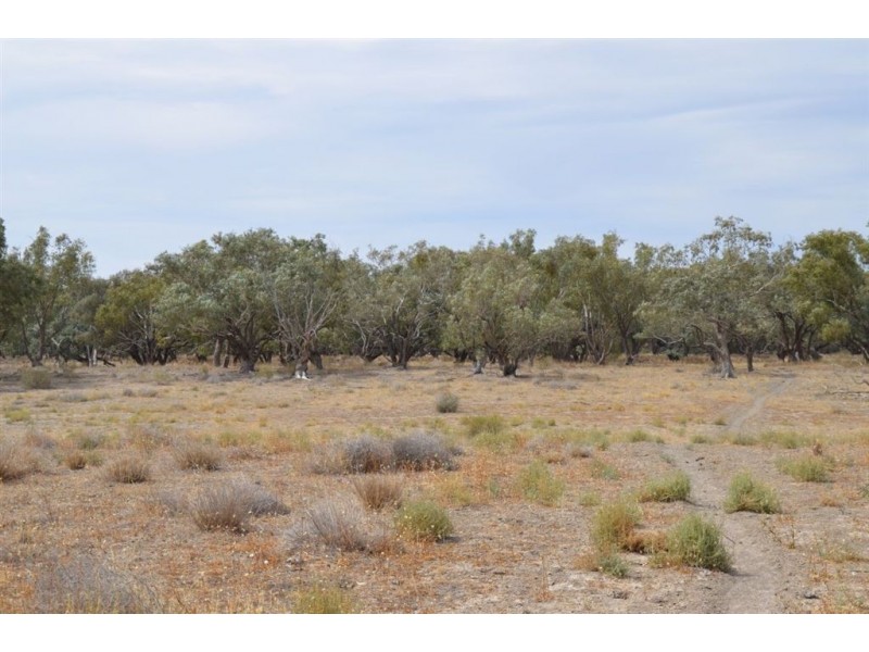 * Newmans on the Darling, Tilpa, Cobar NSW 2835