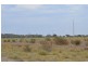 * Newmans on the Darling, Tilpa, Cobar NSW 2835