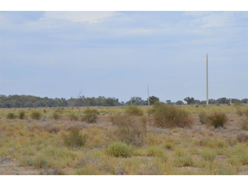 * Newmans on the Darling, Tilpa, Cobar NSW 2835