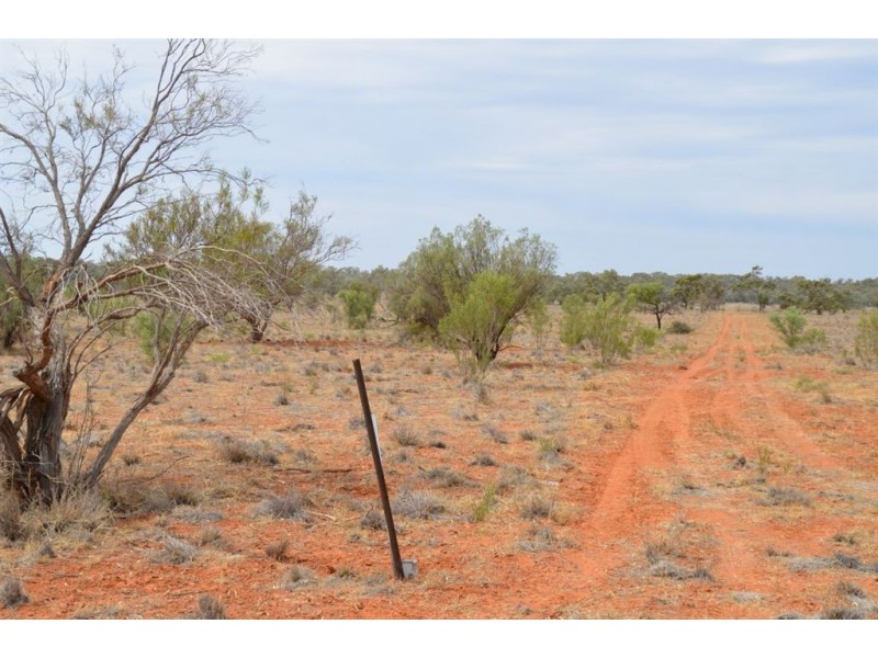 * Newmans on the Darling, Tilpa, Cobar NSW 2835