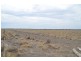 * Newmans on the Darling, Tilpa, Cobar NSW 2835