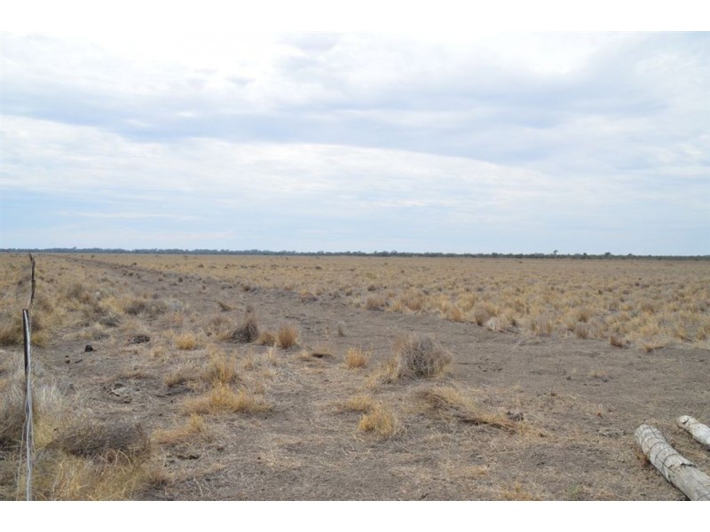 * Newmans on the Darling, Tilpa, Cobar NSW 2835