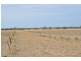 * Newmans on the Darling, Tilpa, Cobar NSW 2835