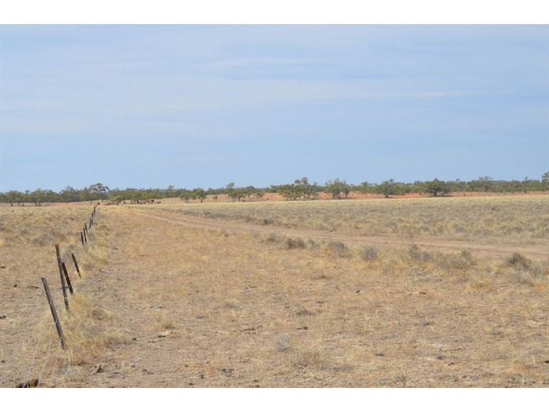 * Newmans on the Darling, Tilpa, Cobar NSW 2835
