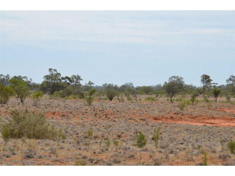 * Newmans on the Darling, Tilpa, Cobar NSW 2835