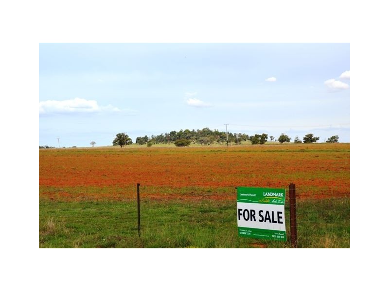 * Worrongorrah, Condobolin NSW 2877