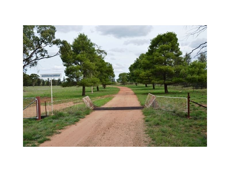 * Worrongorrah, Condobolin NSW 2877