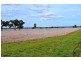 * Worrongorrah, Condobolin NSW 2877