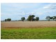 * Worrongorrah, Condobolin NSW 2877