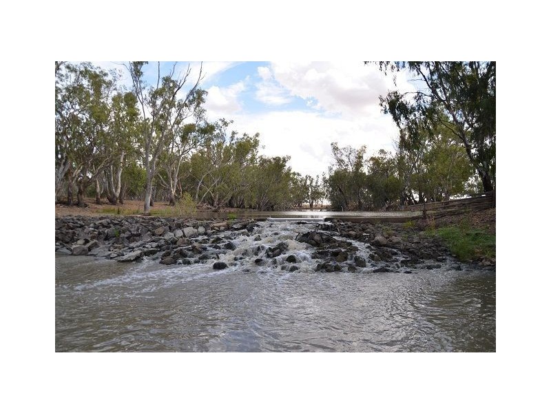 * Worrongorrah, Condobolin NSW 2877