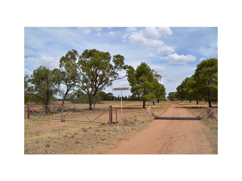 * Worrongorrah, Condobolin NSW 2877