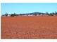 * Palisthan, Condobolin NSW 2877