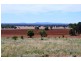 * Palisthan, Condobolin NSW 2877