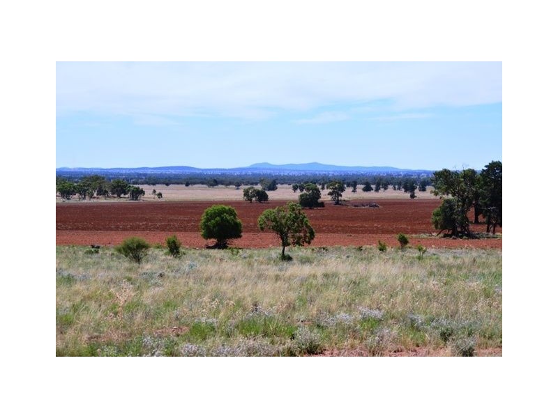* Palisthan, Condobolin NSW 2877