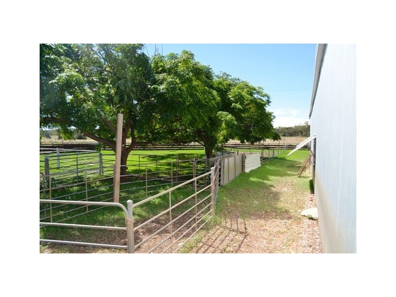 * Palisthan, Condobolin NSW 2877