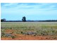 * Palisthan, Condobolin NSW 2877