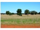 * Palisthan, Condobolin NSW 2877