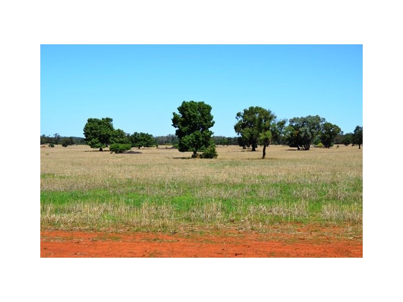 * Palisthan, Condobolin NSW 2877