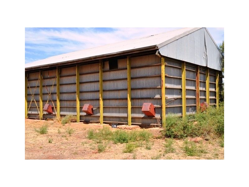 * Palisthan, Condobolin NSW 2877