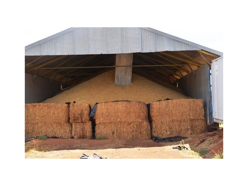 * Palisthan, Condobolin NSW 2877