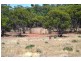 * Palisthan, Condobolin NSW 2877