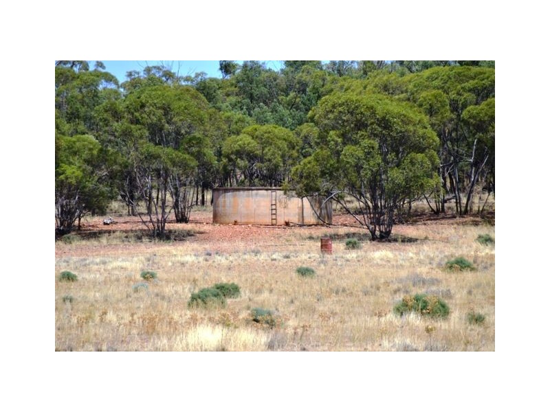 * Palisthan, Condobolin NSW 2877