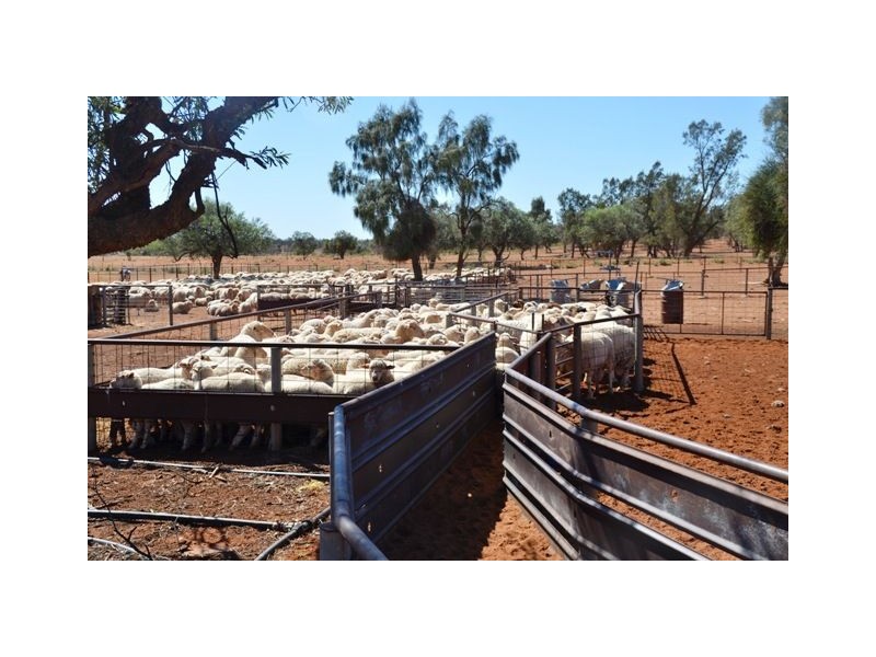 Narraport 15323 Barrier Highway, Cobar NSW 2835