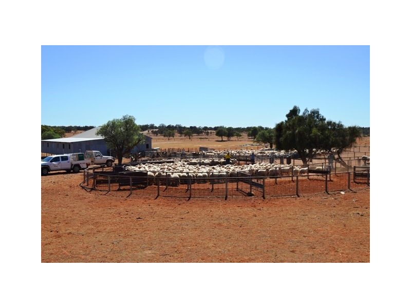 Narraport 15323 Barrier Highway, Cobar NSW 2835
