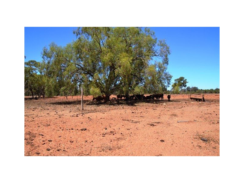 Narraport 15323 Barrier Highway, Cobar NSW 2835