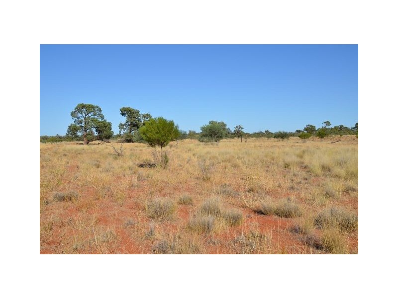 * Bulla Bulla, Cobar NSW 2835