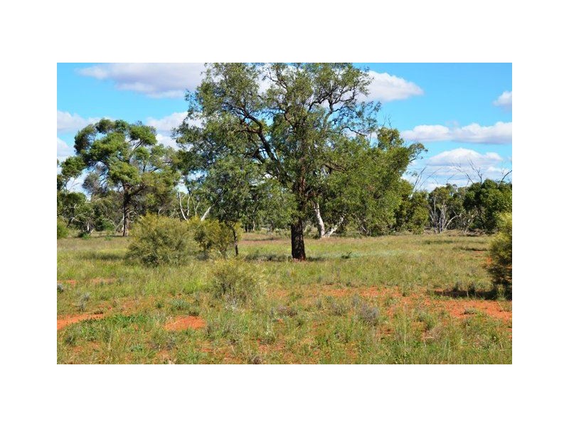 * West Boolaroo, Condobolin NSW 2877