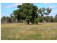 * West Boolaroo, Condobolin NSW 2877