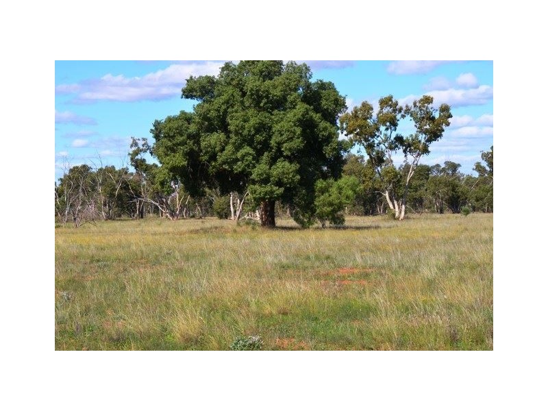 * West Boolaroo, Condobolin NSW 2877