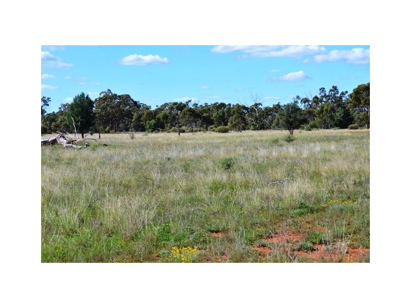 * West Boolaroo, Condobolin NSW 2877