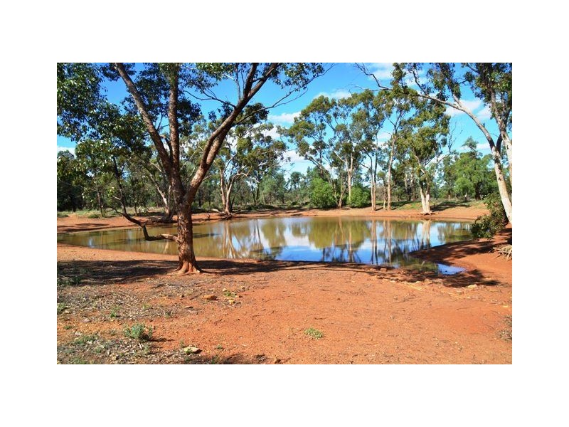 * West Boolaroo, Condobolin NSW 2877