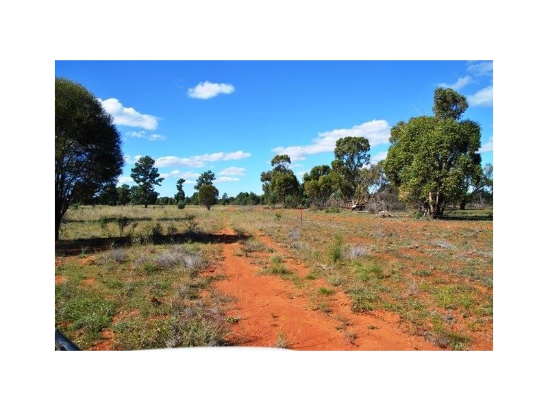 * West Boolaroo, Condobolin NSW 2877