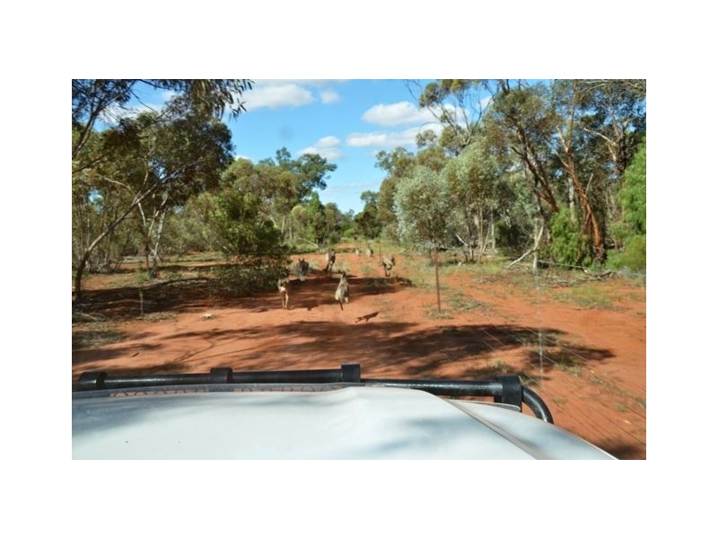 * West Boolaroo, Condobolin NSW 2877