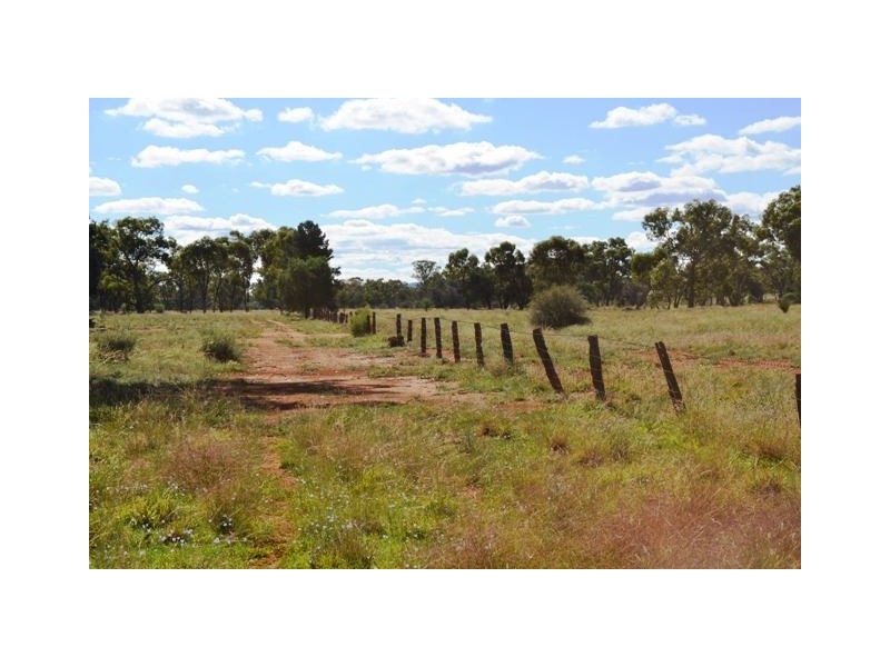 * West Boolaroo, Condobolin NSW 2877