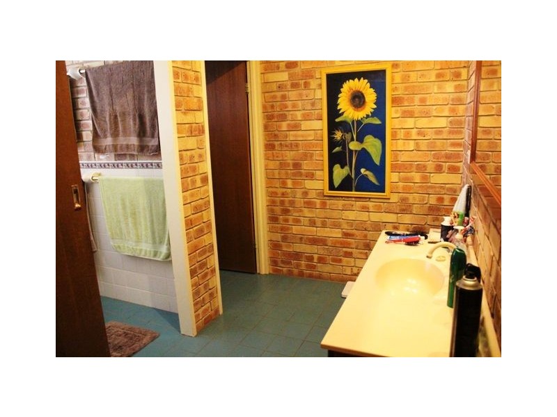 29 Jones Drive, Cobar NSW 2835