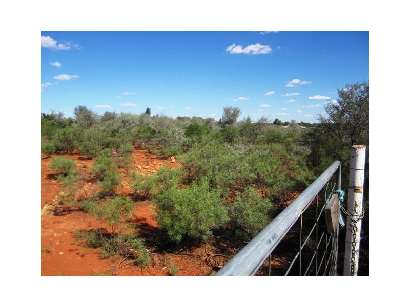 Lot 12 Lerida Road, Cobar NSW 2835
