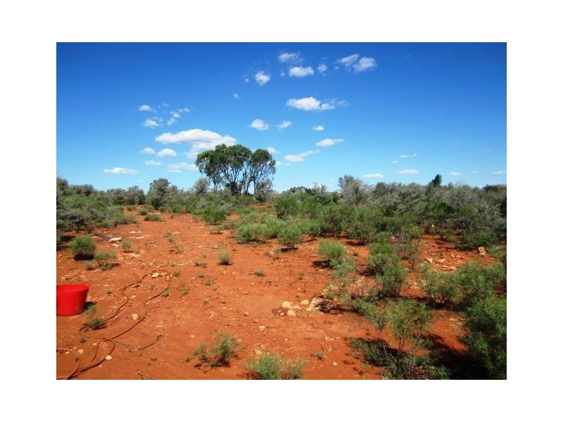 Lot 12 Lerida Road, Cobar NSW 2835