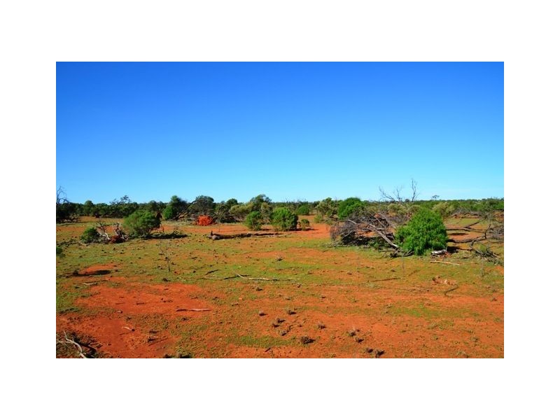 * Box Vale, Cobar NSW 2835