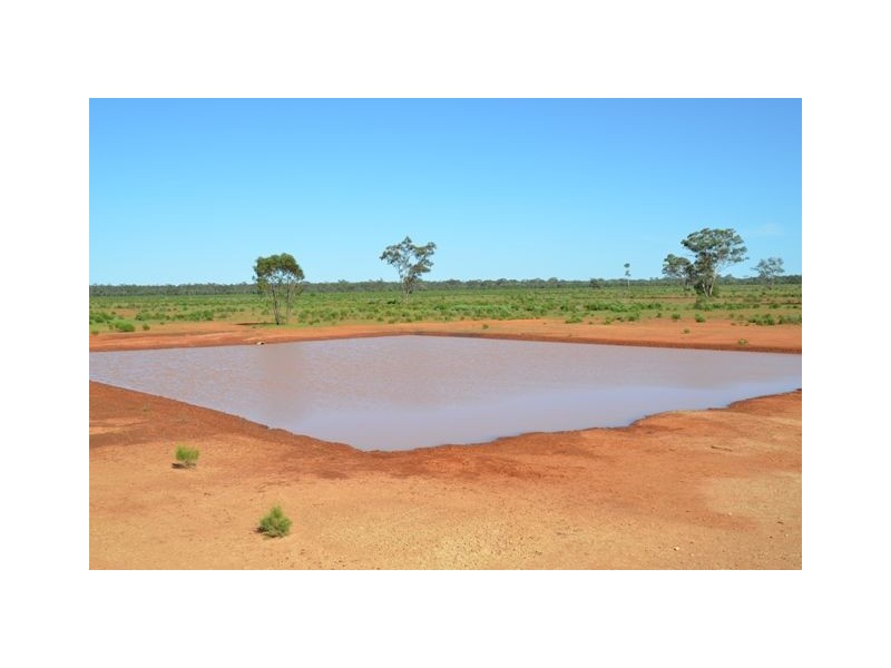 * Box Vale, Cobar NSW 2835